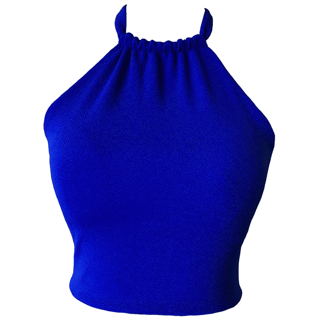 TOP HALTER DAKOTA AZUL 