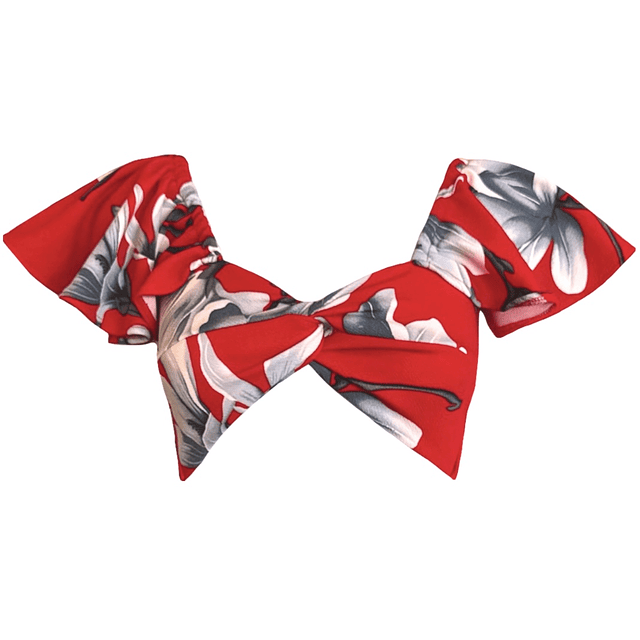 CROP-TOP CARLOTA MANGAS DE VUELOS NEW RED SPRING