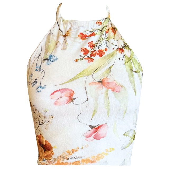 TOP DAKOTA BOTÁNICA 