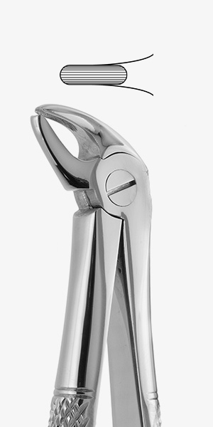 FÓRCEPS PARA EXTRACCIÓN PEDIÁTRICOS N. 38 - 2500/38.
