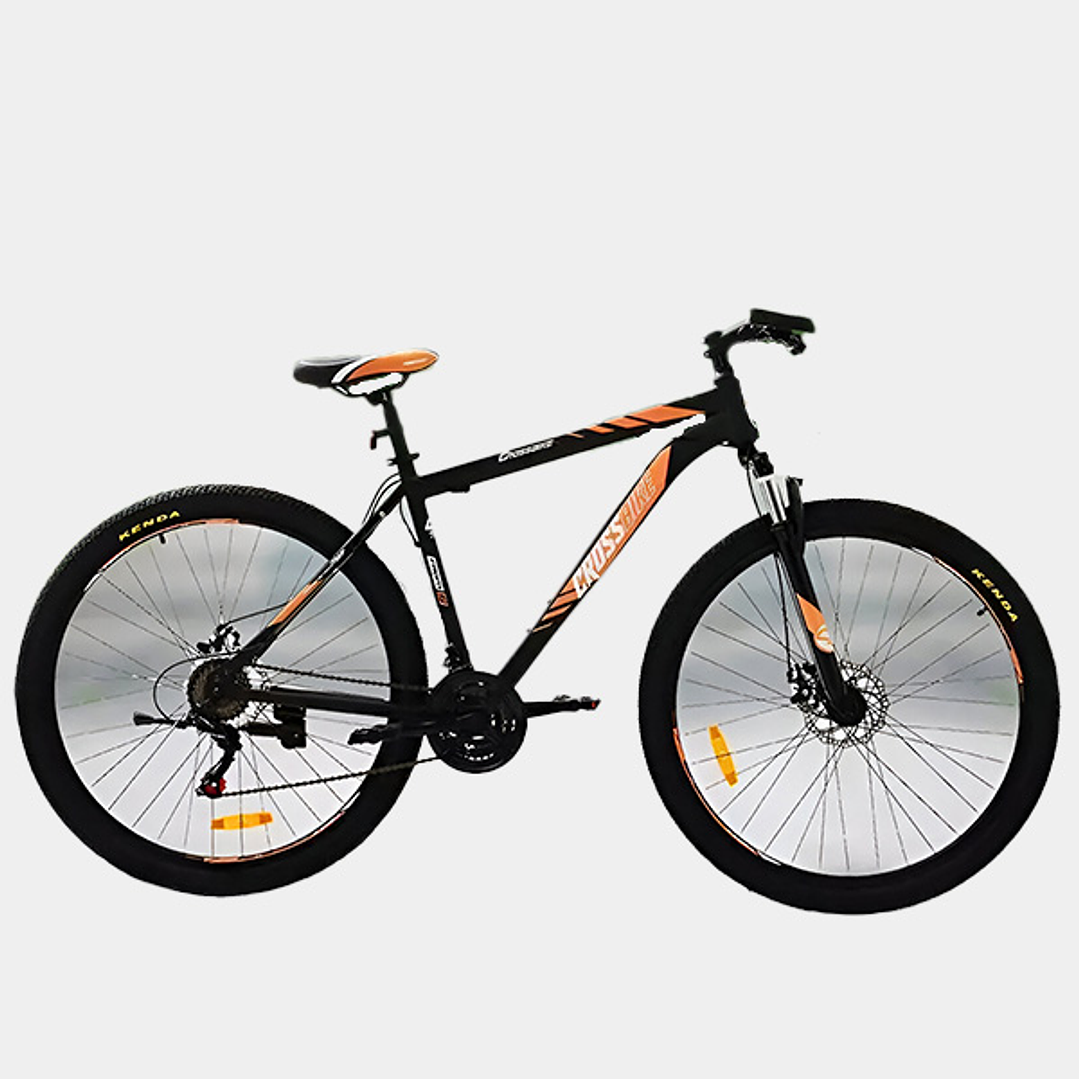 Mountain Bike Aro 29 1