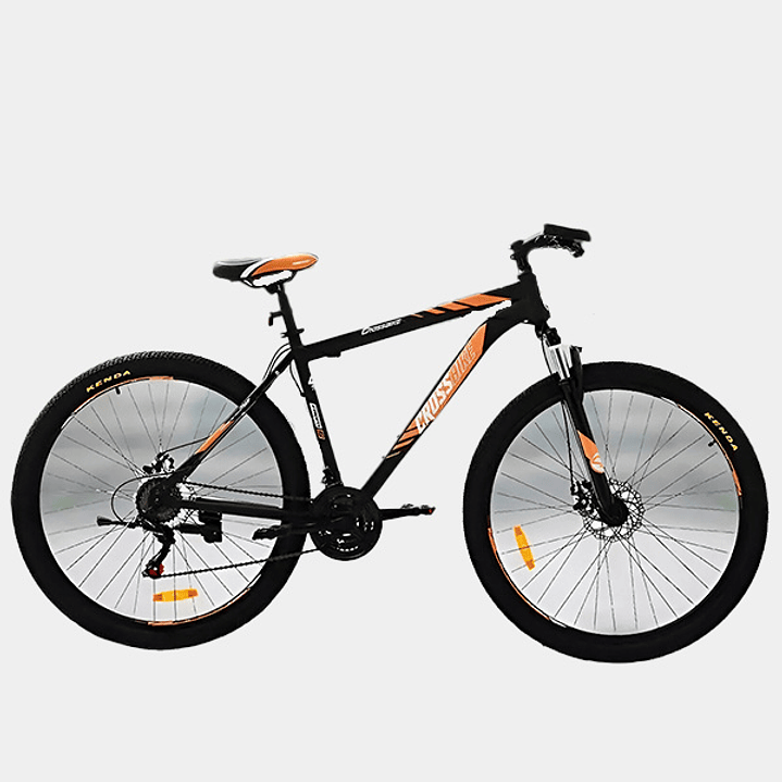 Mountain Bike Aro 29 1