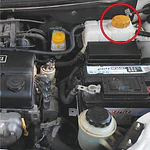 Chevrolet Aveo - Tapa Deposito Refrigerante _ Original Gm
