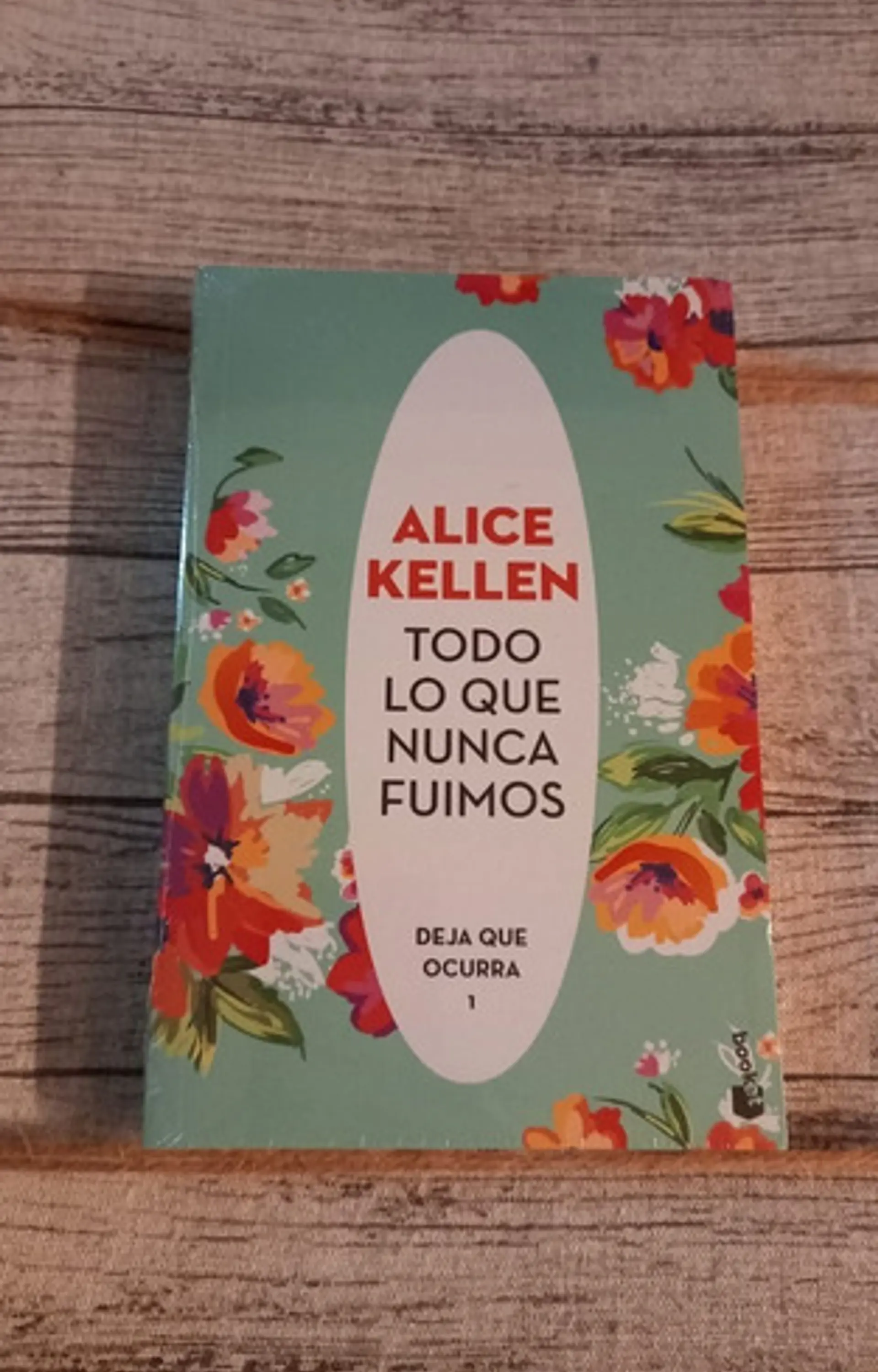 Todo Lo Que Nunca Fuimos, Alice Kellen 1