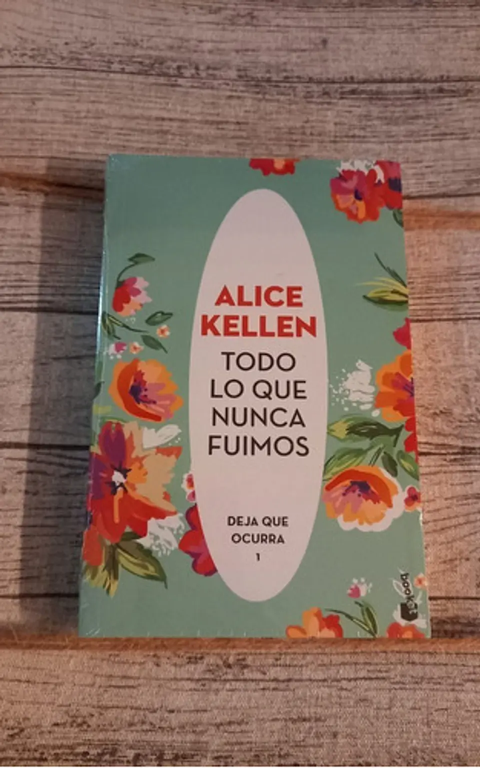 Todo Lo Que Nunca Fuimos, Alice Kellen 1