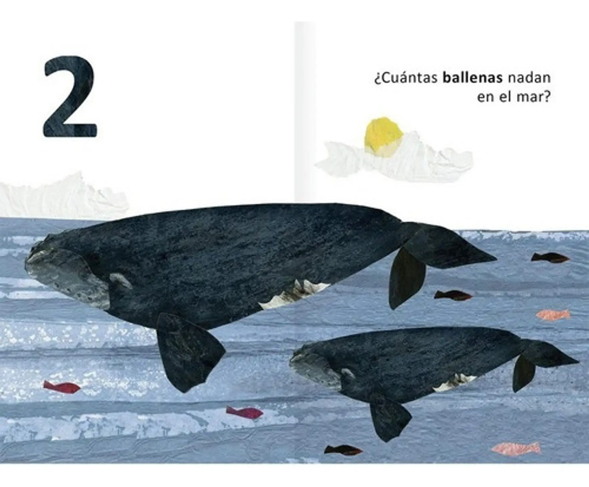 1,2,3 ¿cuántos Ves? 2