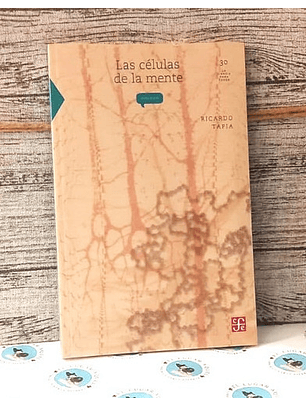 Las Células De La Mente