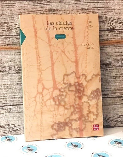 Las Células De La Mente