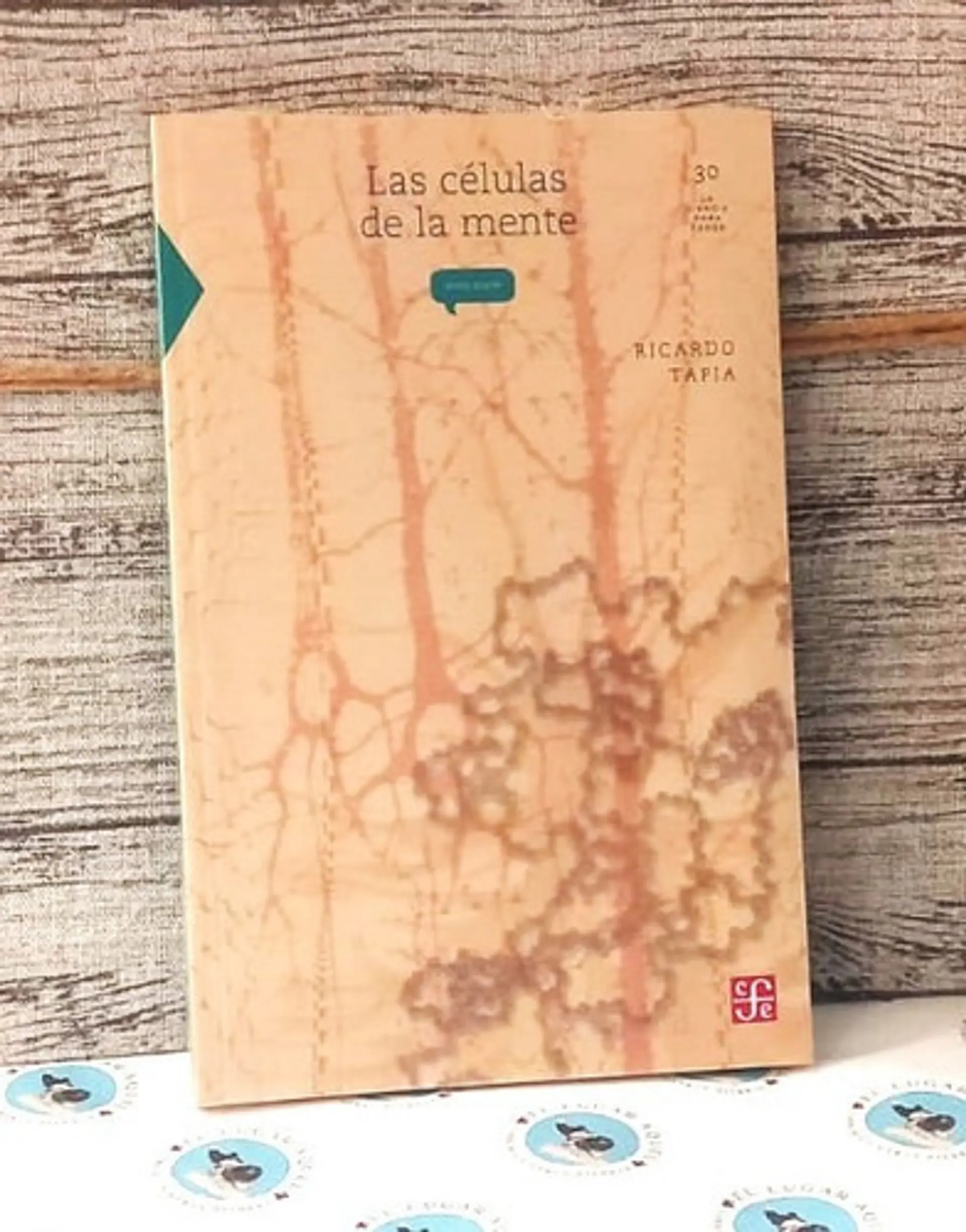 Las Células De La Mente 1