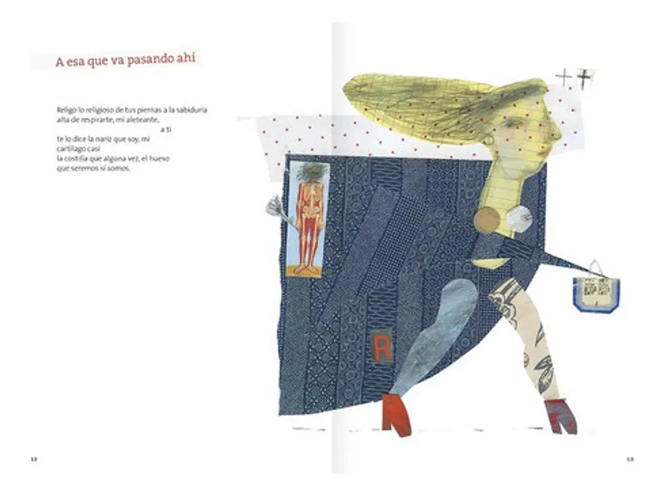 Gonzalo Rojas, Poemas Ilustrados 2