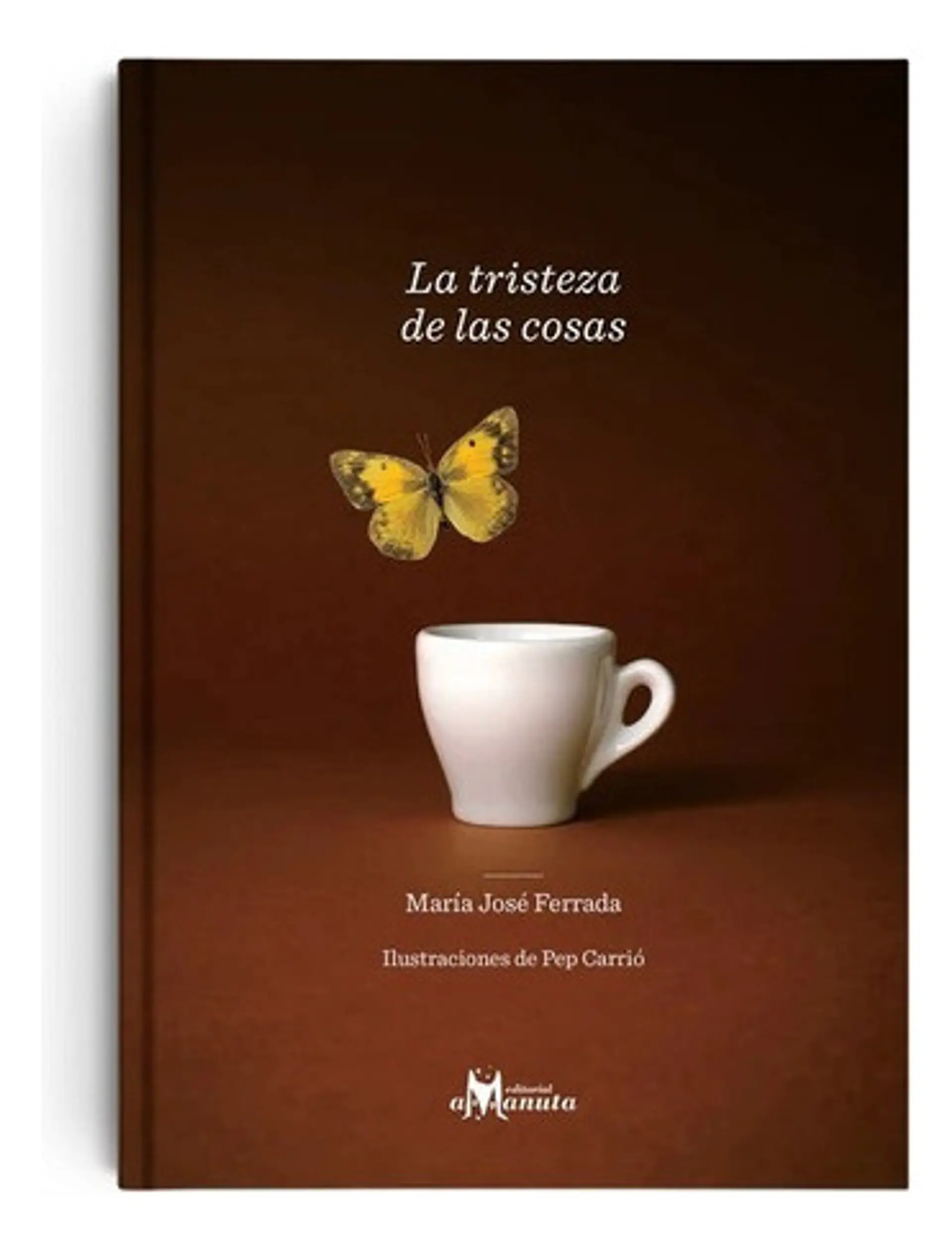 La Tristeza De Las Cosas 1