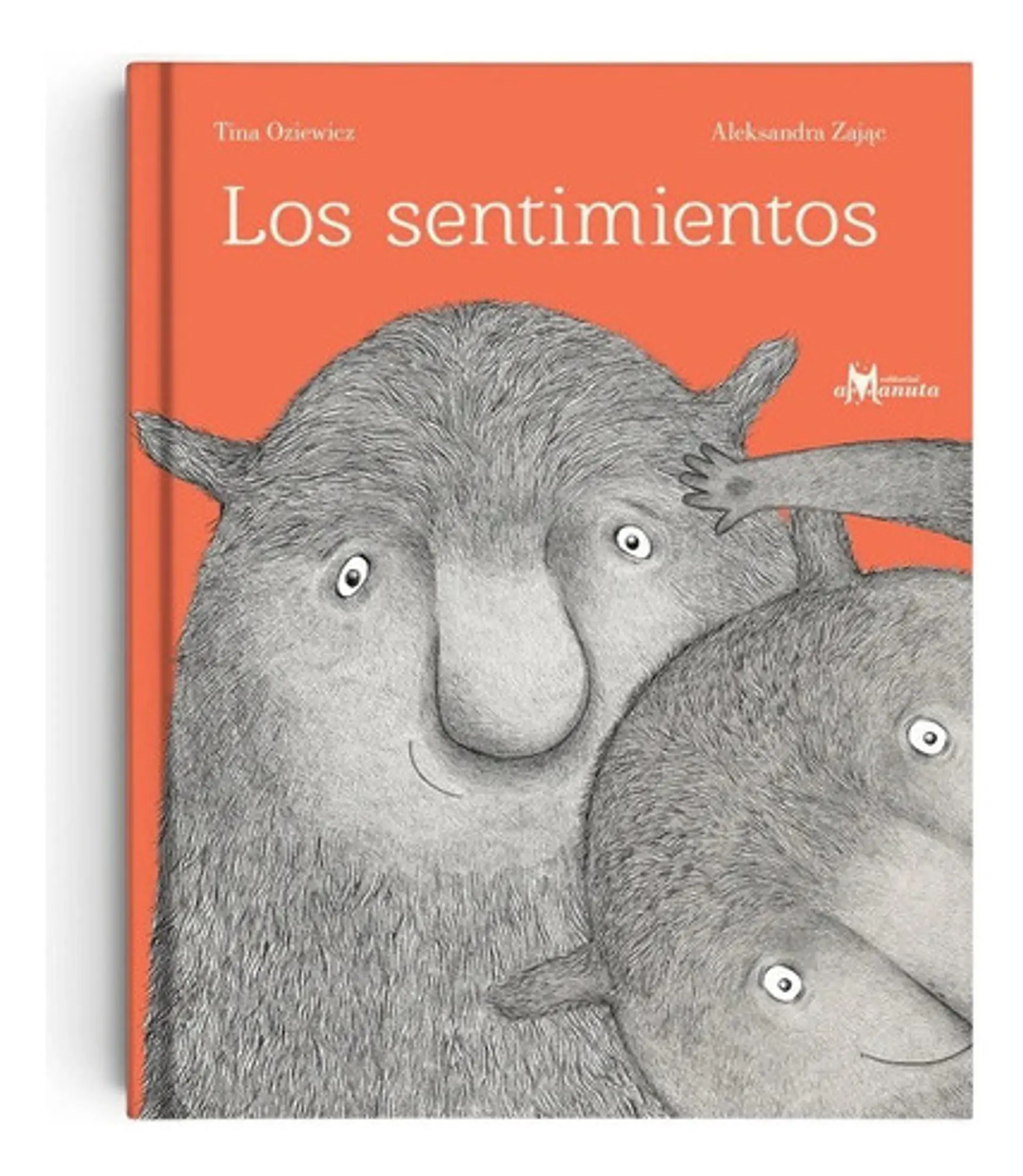 Los Sentimientos 1
