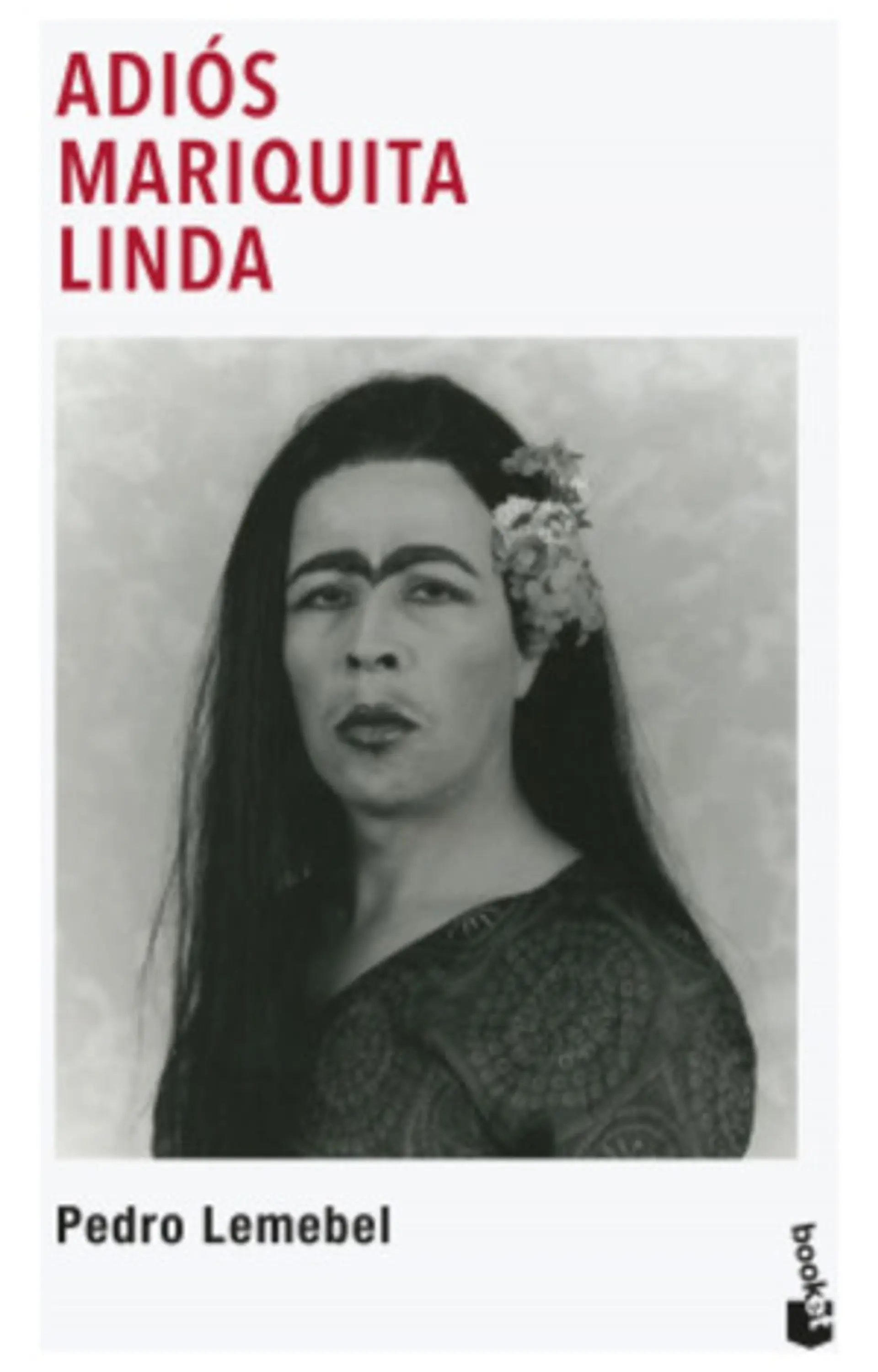 Libro Adiós Mariquita Linda - Pedro Lemebel 1