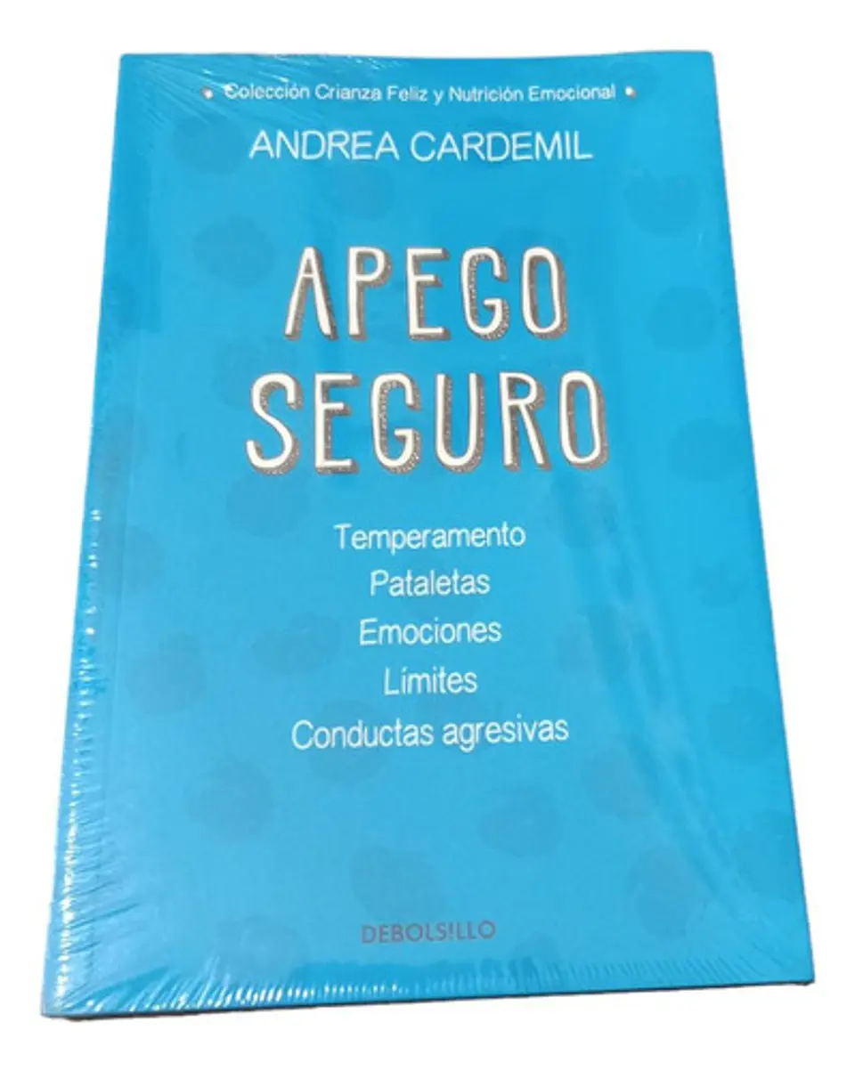 Apego Seguro - Andrea Cardemil 1