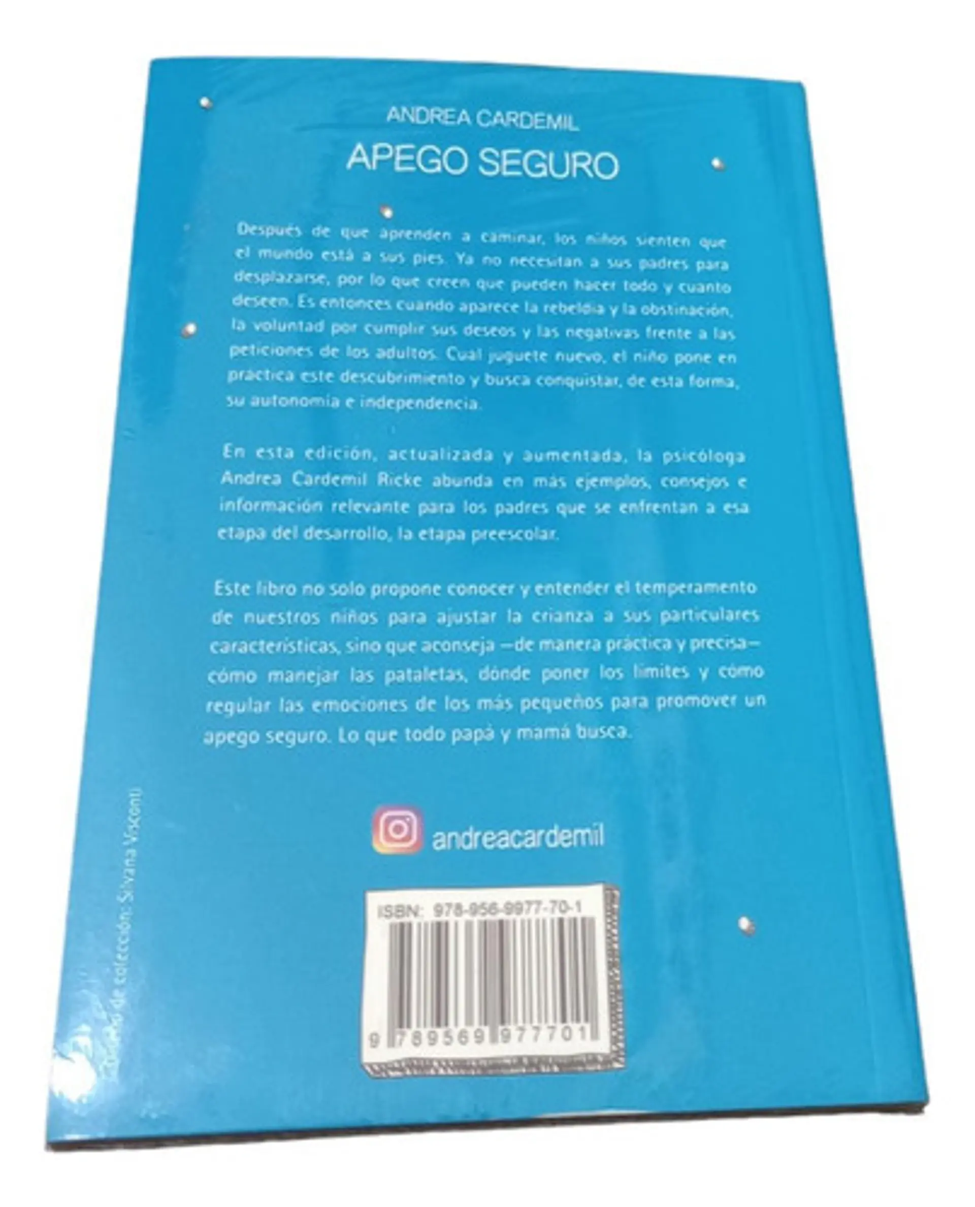 Apego Seguro - Andrea Cardemil 2