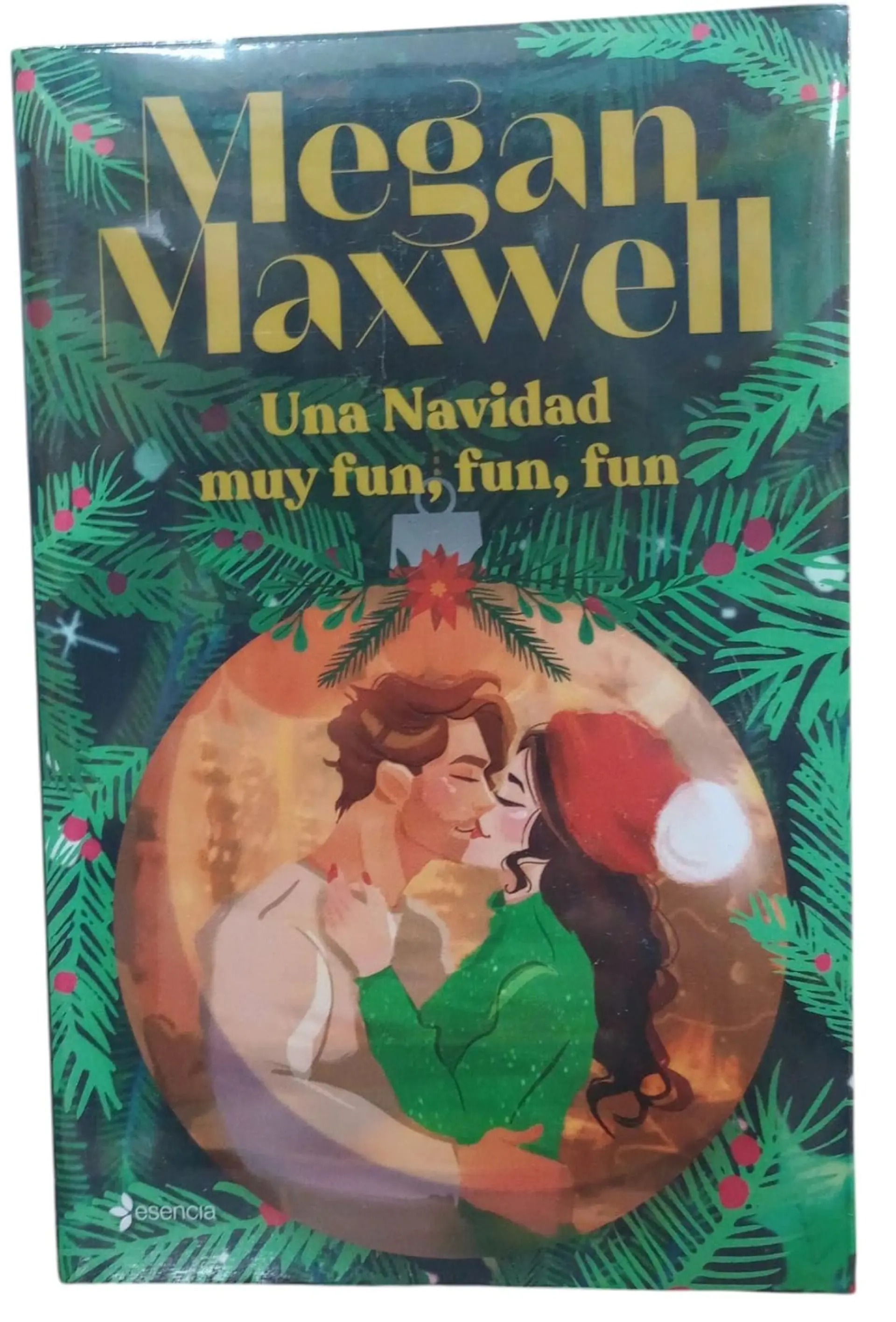 Una navidad muy fun, fun, fun 1