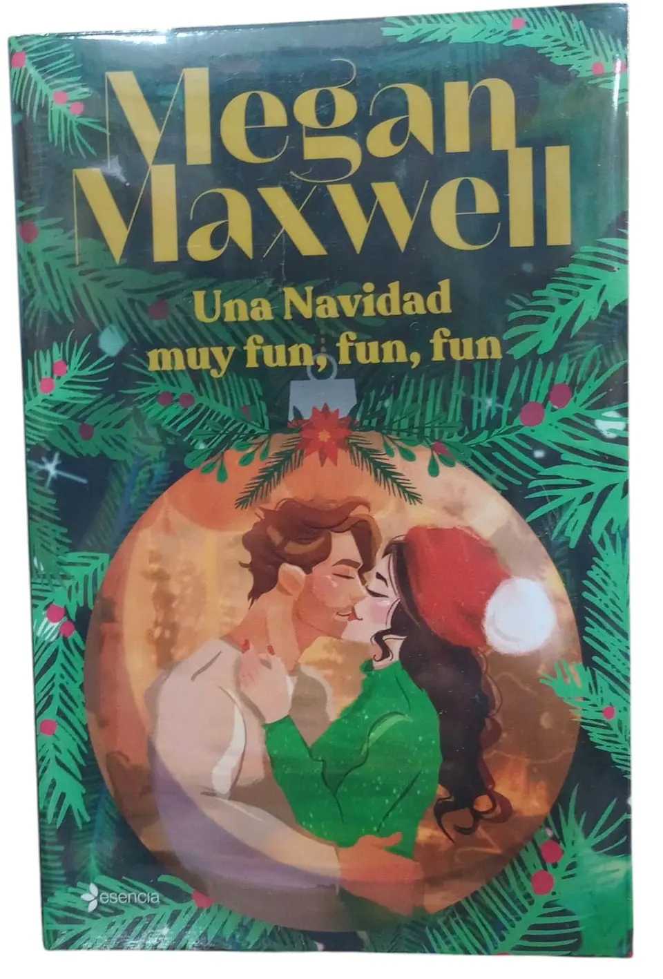 Una navidad muy fun, fun, fun 1