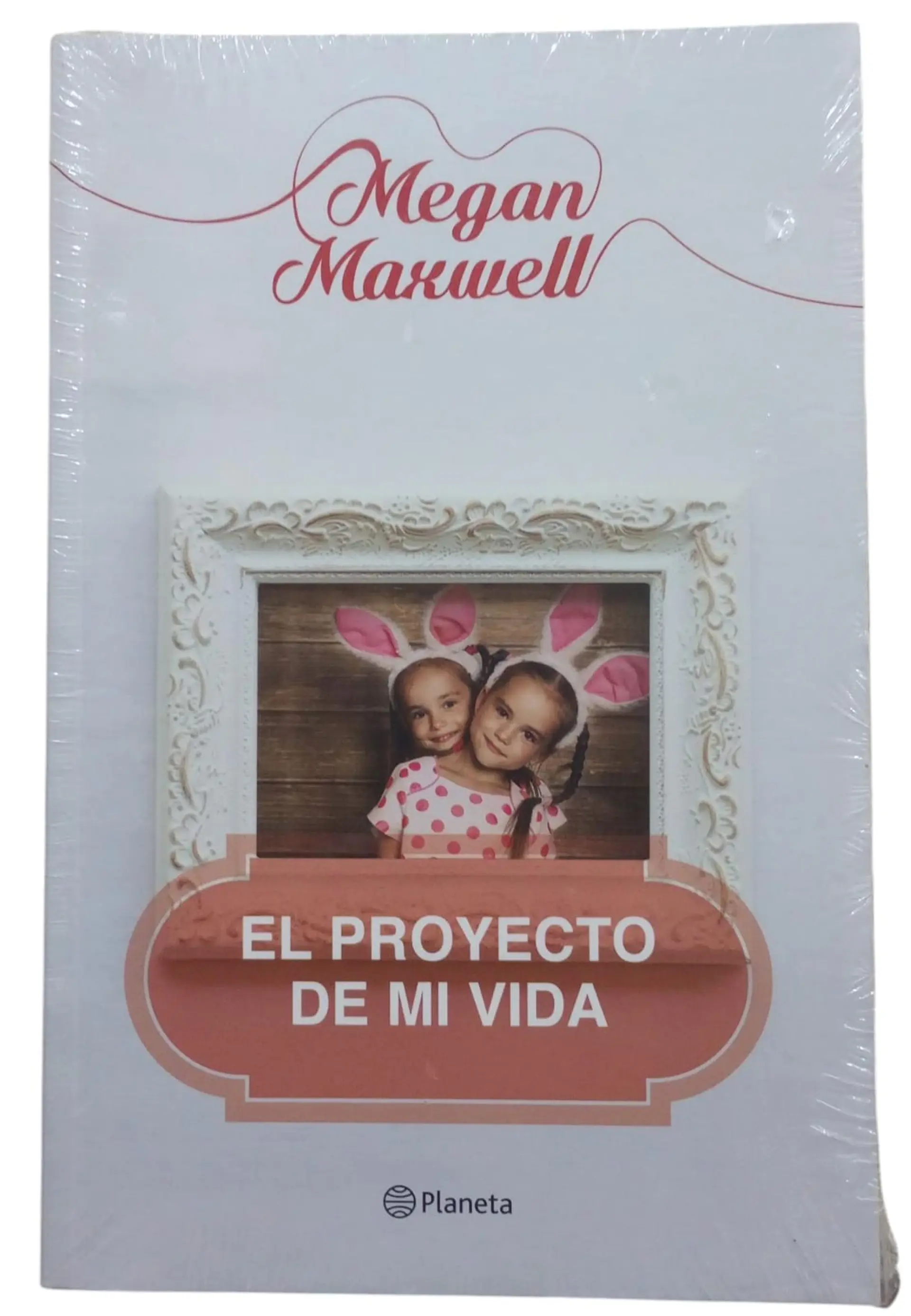 El proyecto de mi vida  1