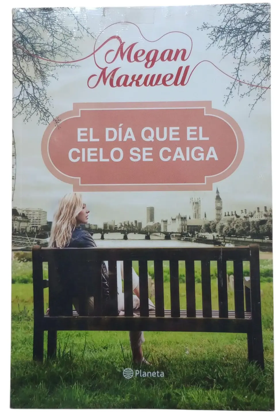 El día que el cielo se caiga 1
