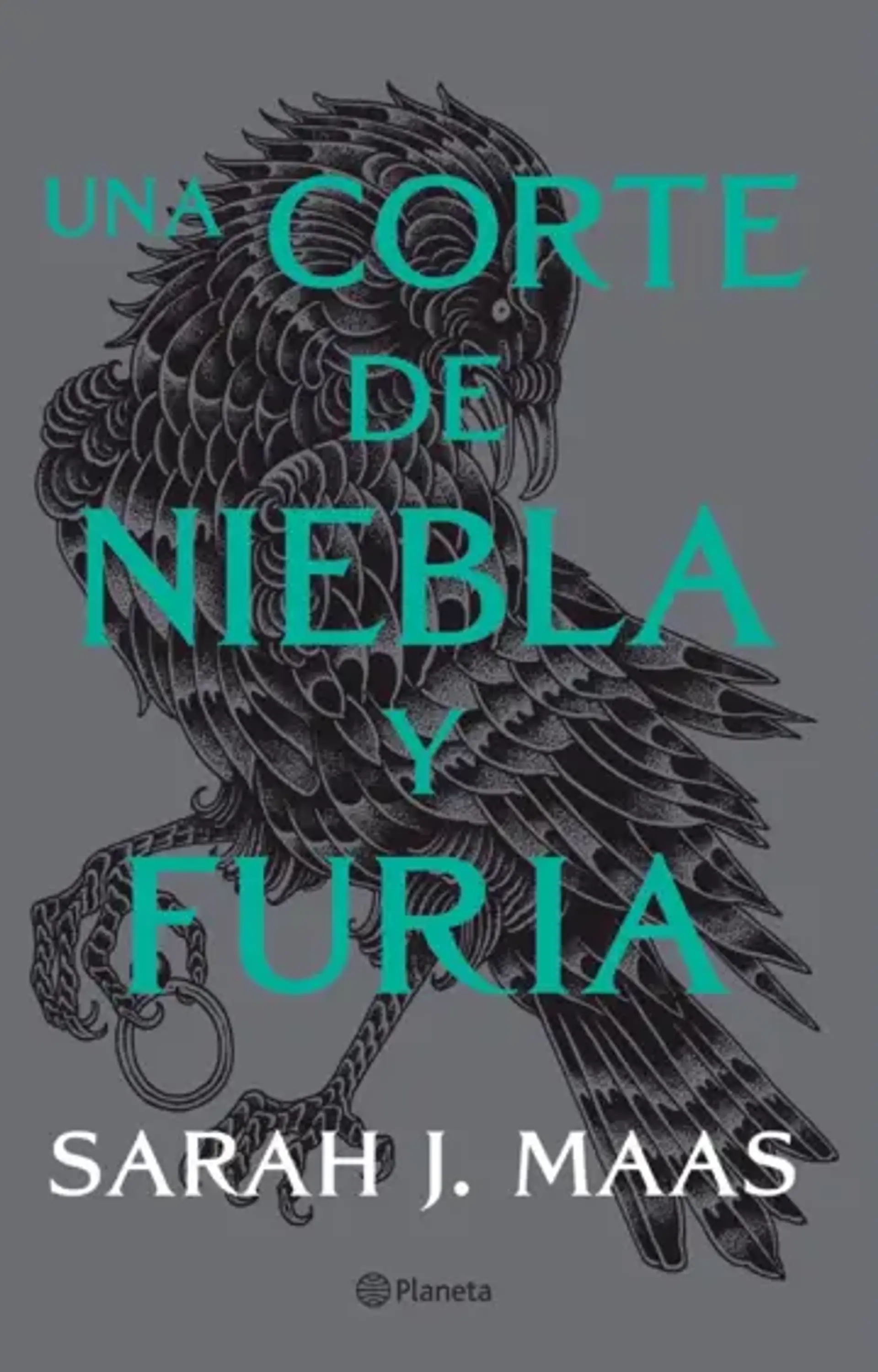 Una corte de niebla y furia  1