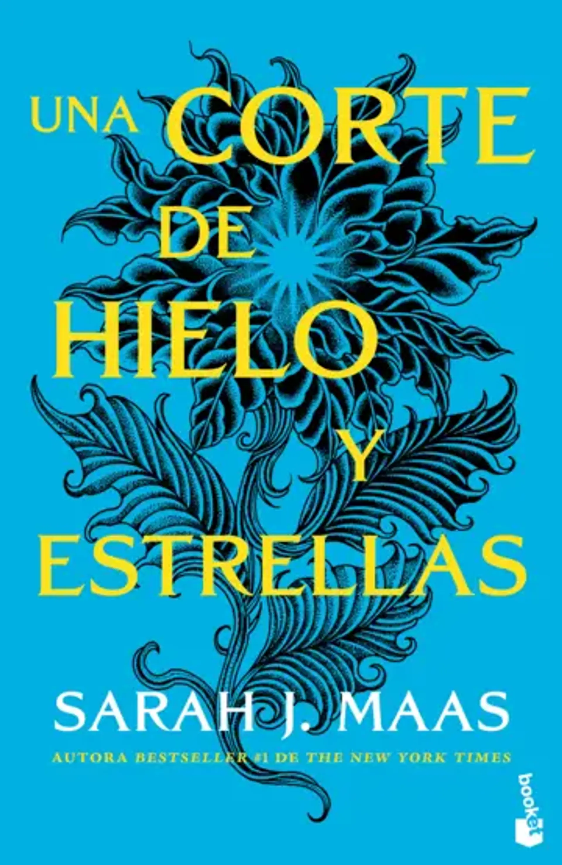 Una corte de hielo y estrellas 1