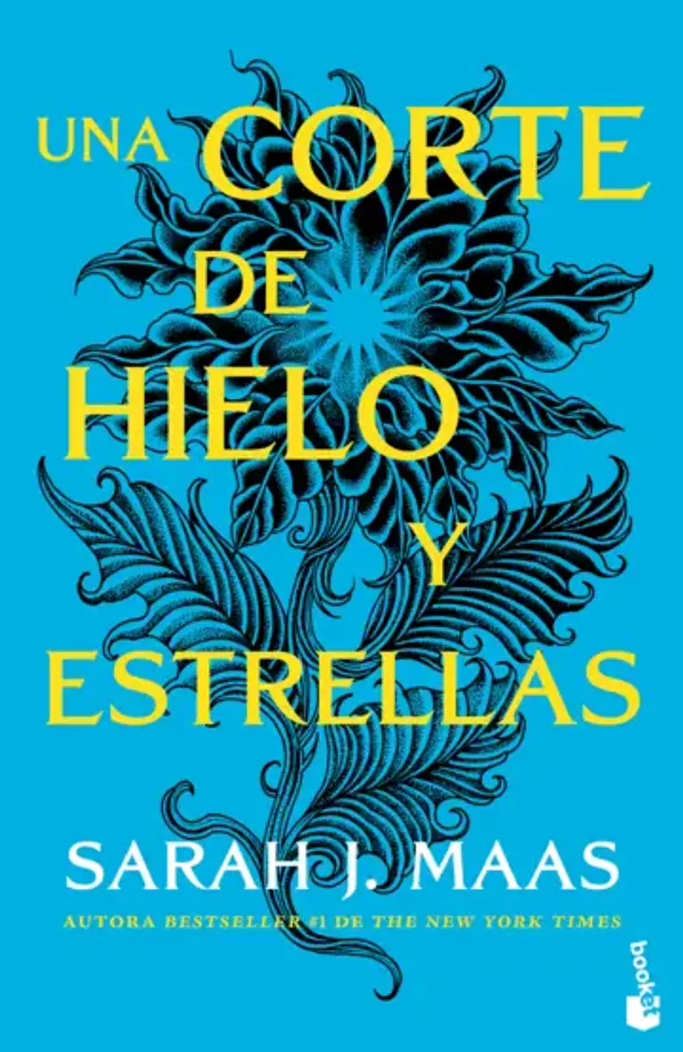Una corte de hielo y estrellas 1