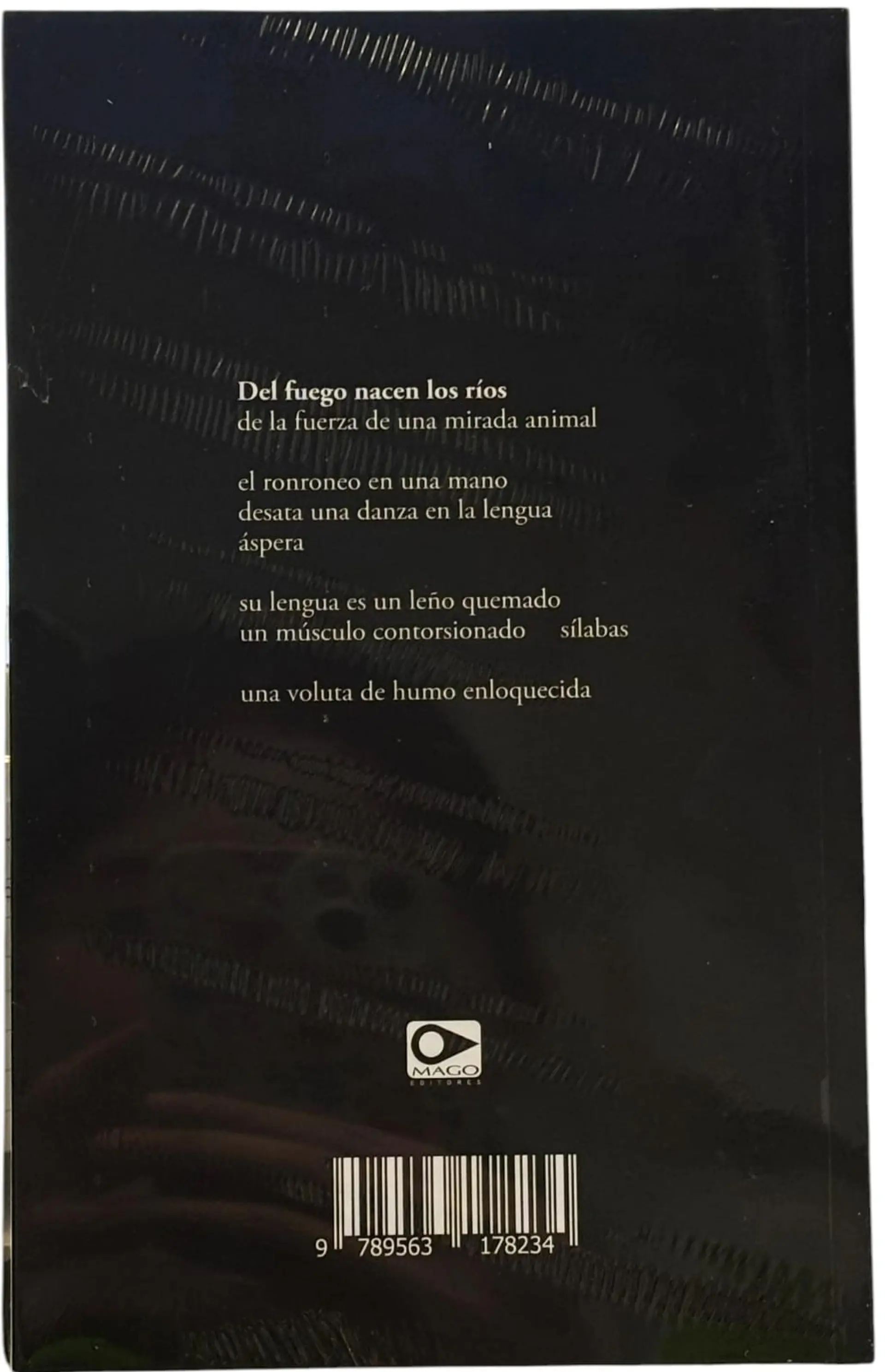 Palabra oído sumergida en el fuego 2