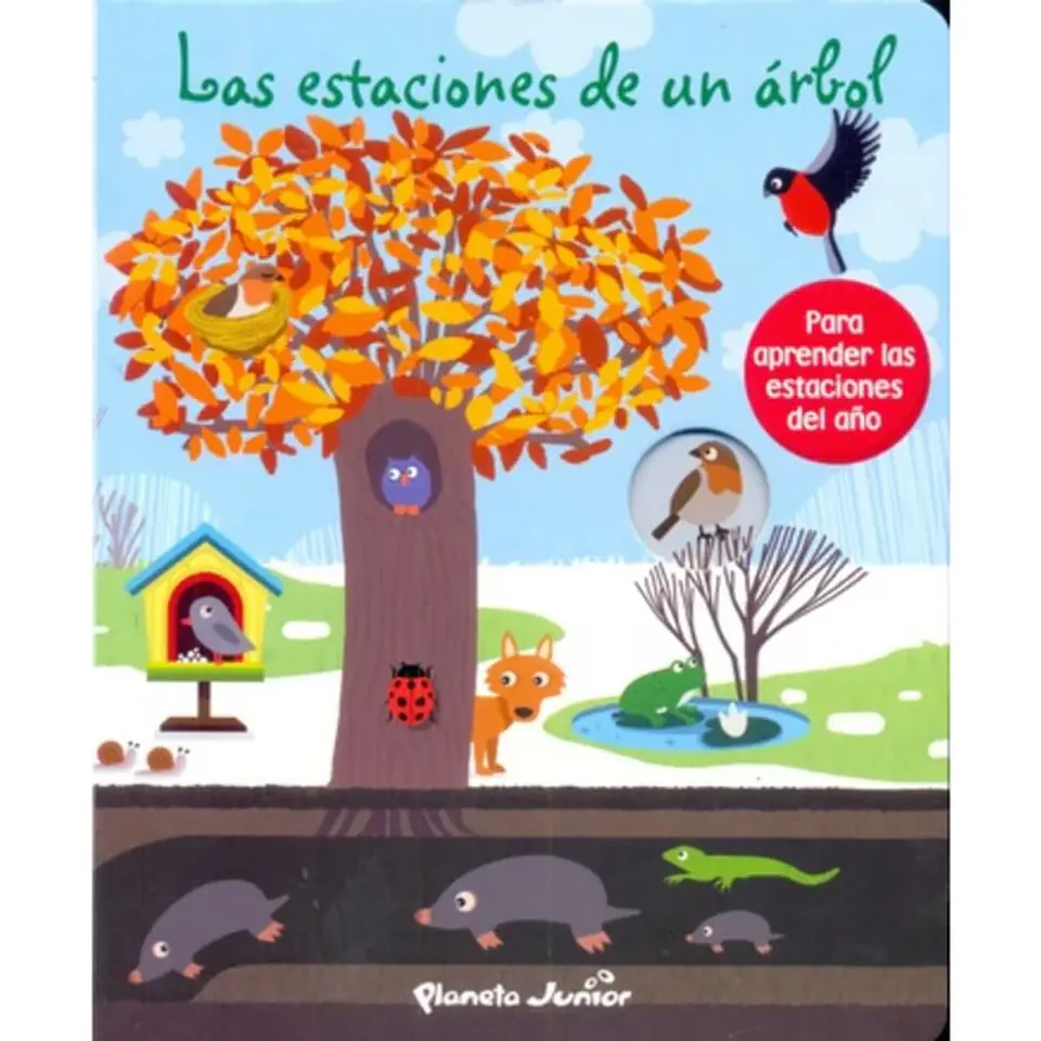 Las Estaciones De Un Árbol 1