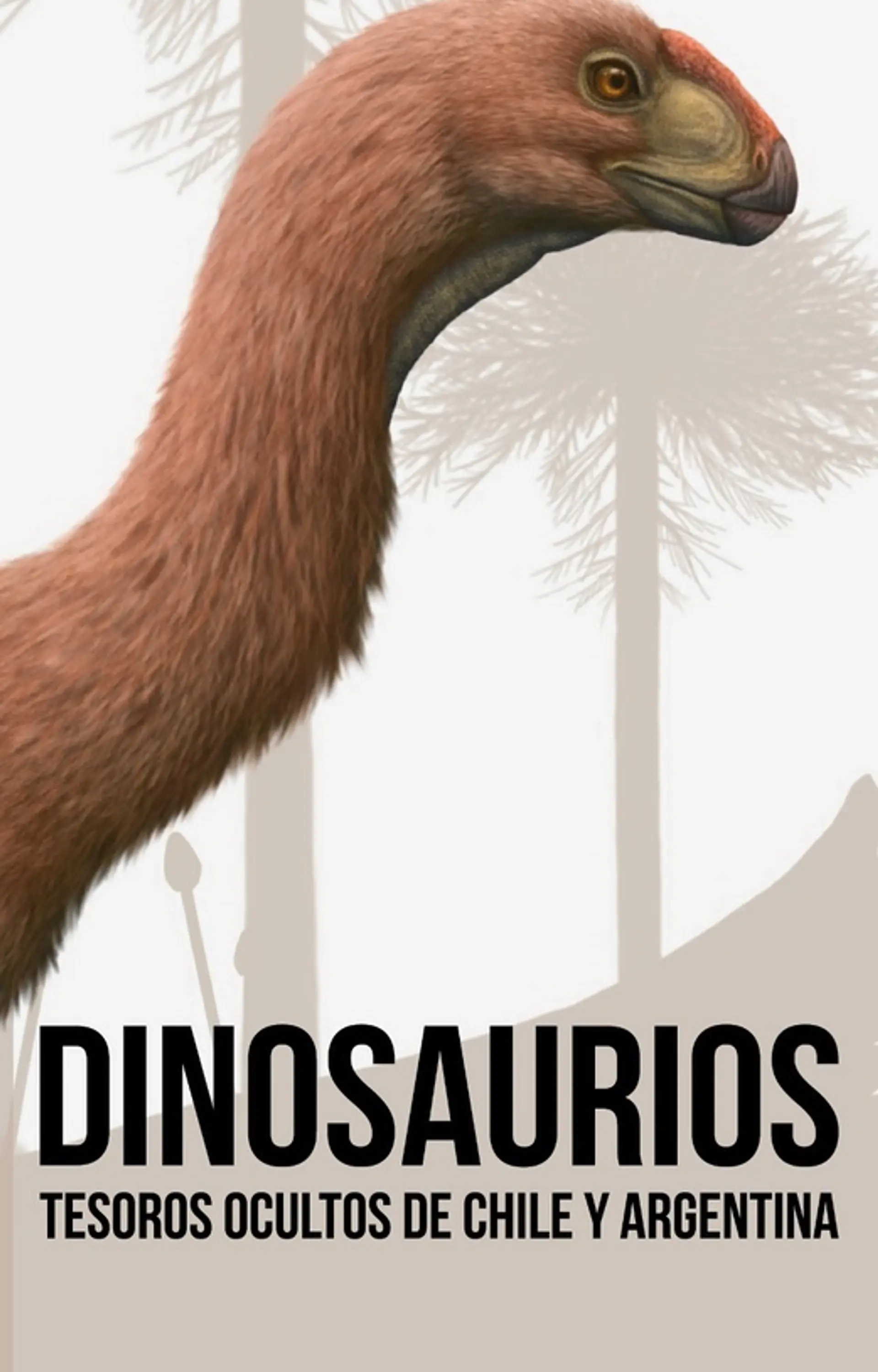 DINOSAURIOS Tesoros ocultos de Chile y Argentina 1