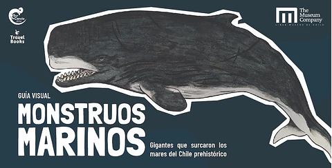 Guía visual monstruos marinos