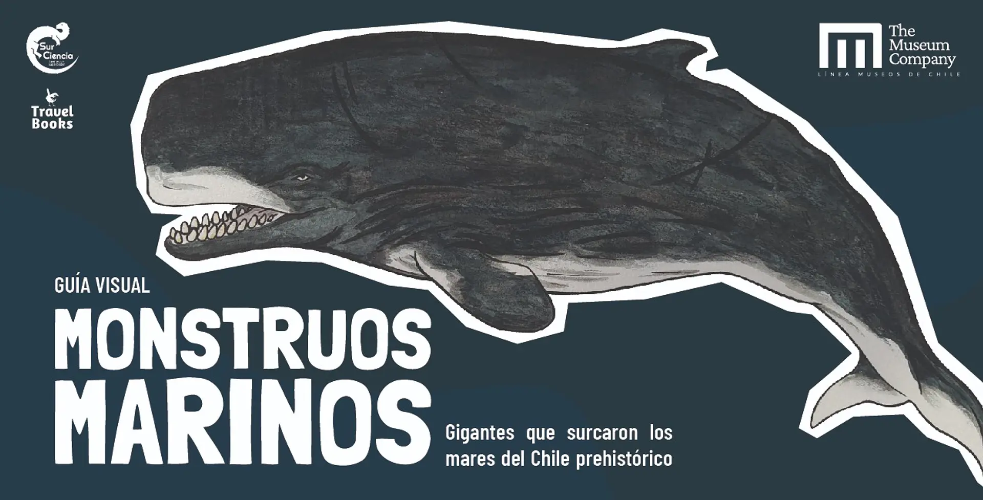 Guía visual monstruos marinos 1