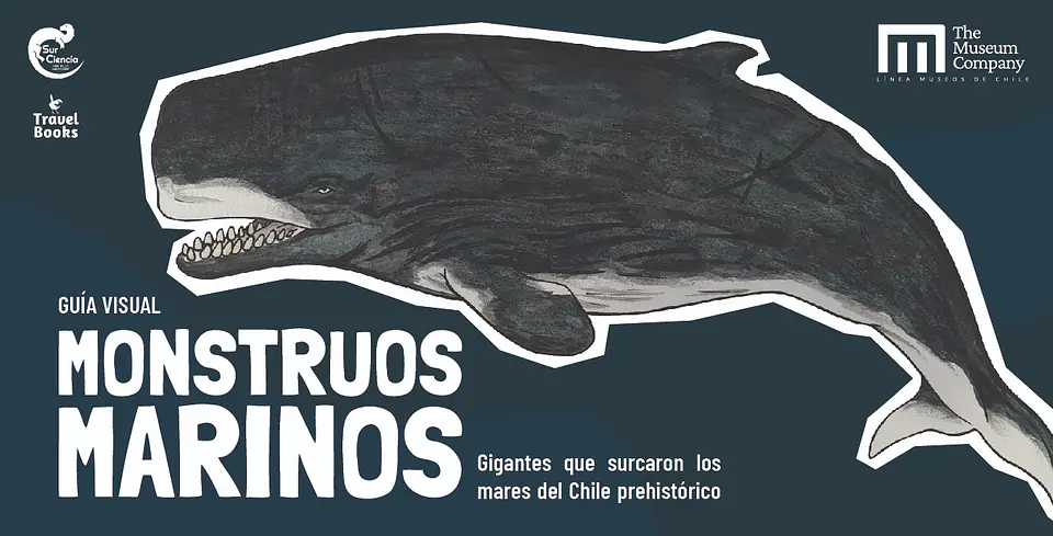 Guía visual monstruos marinos 1