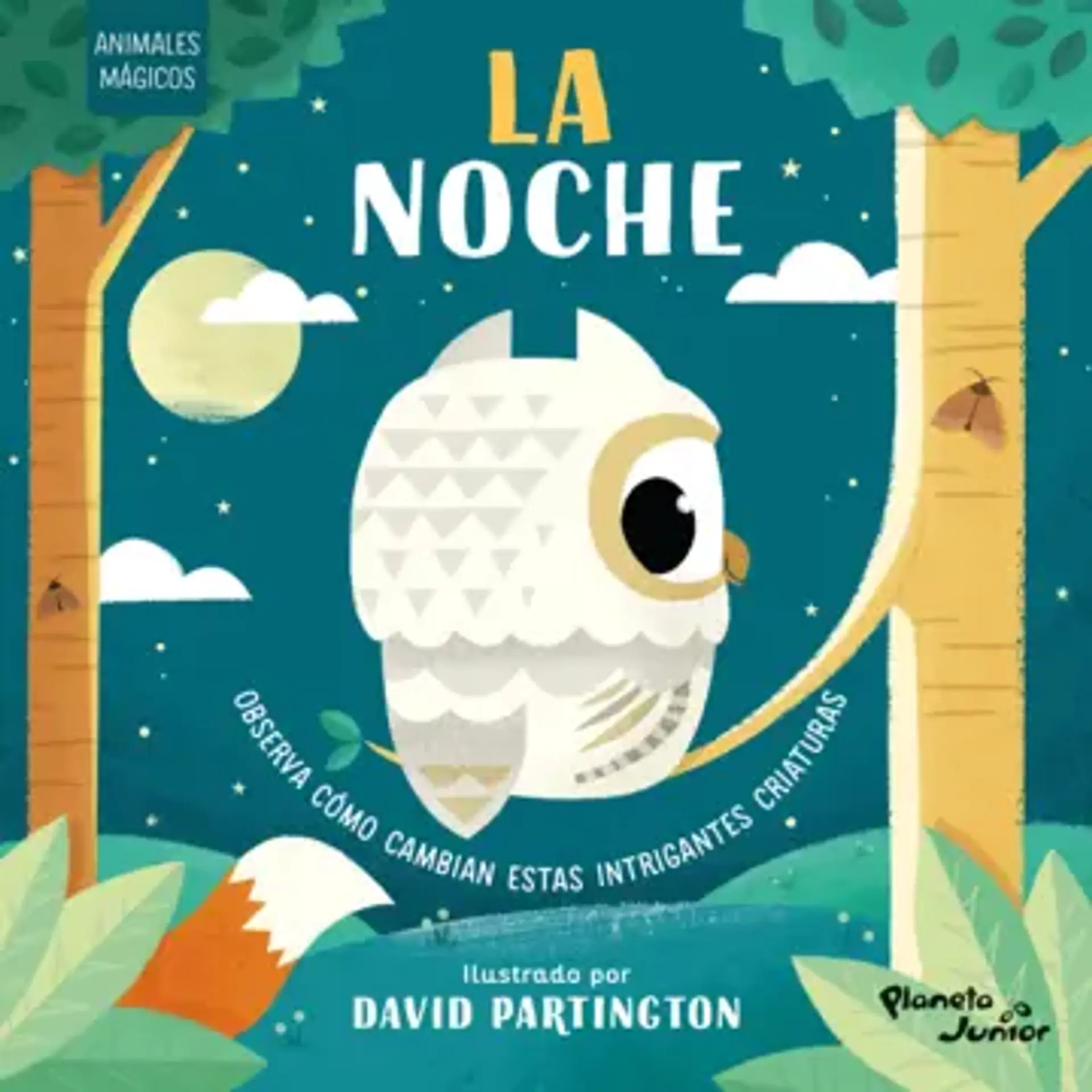 Animales mágicos. La noche 1