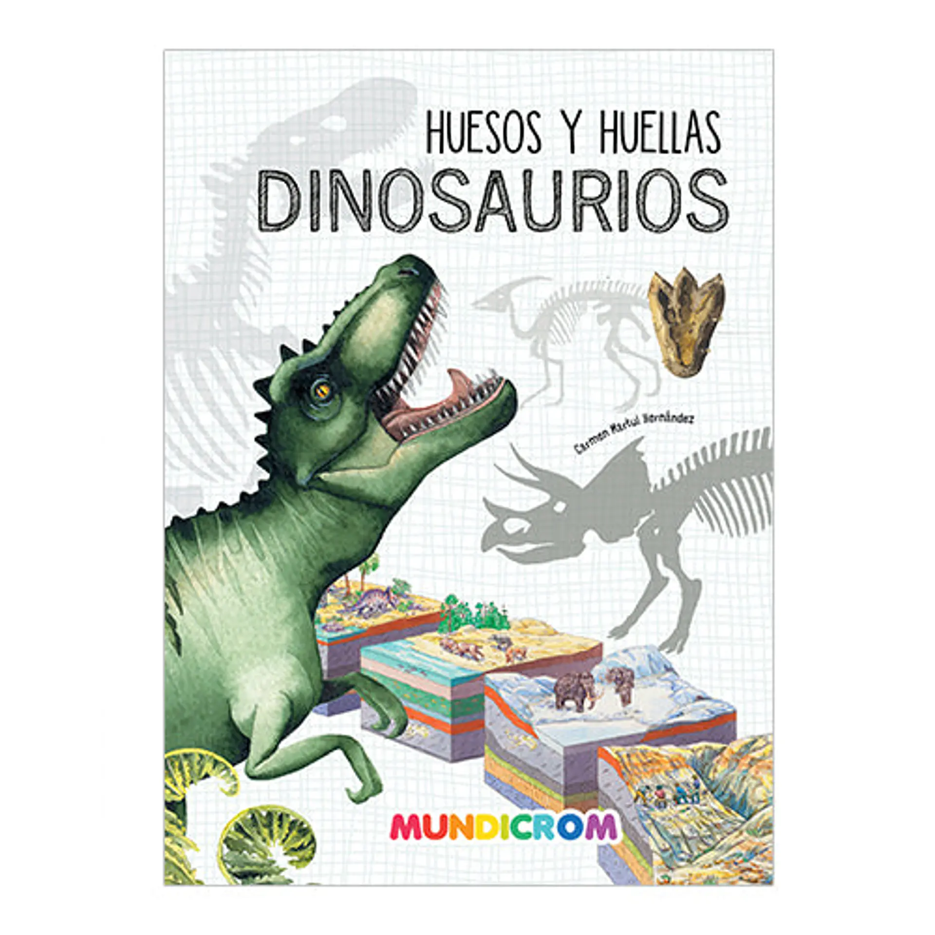 Huesos y huellas. Dinosaurios 1