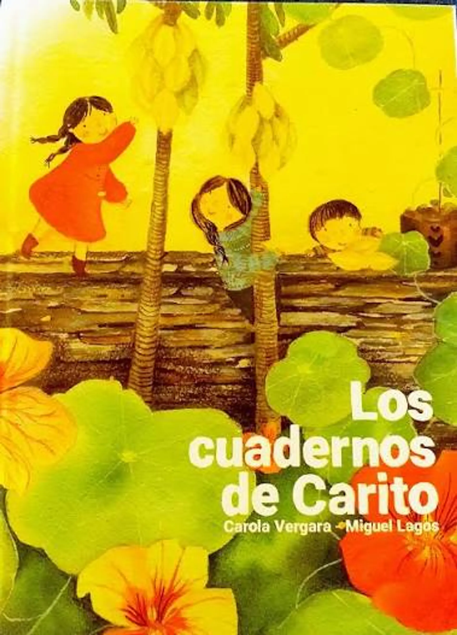 Los cuadernos de Carito  1