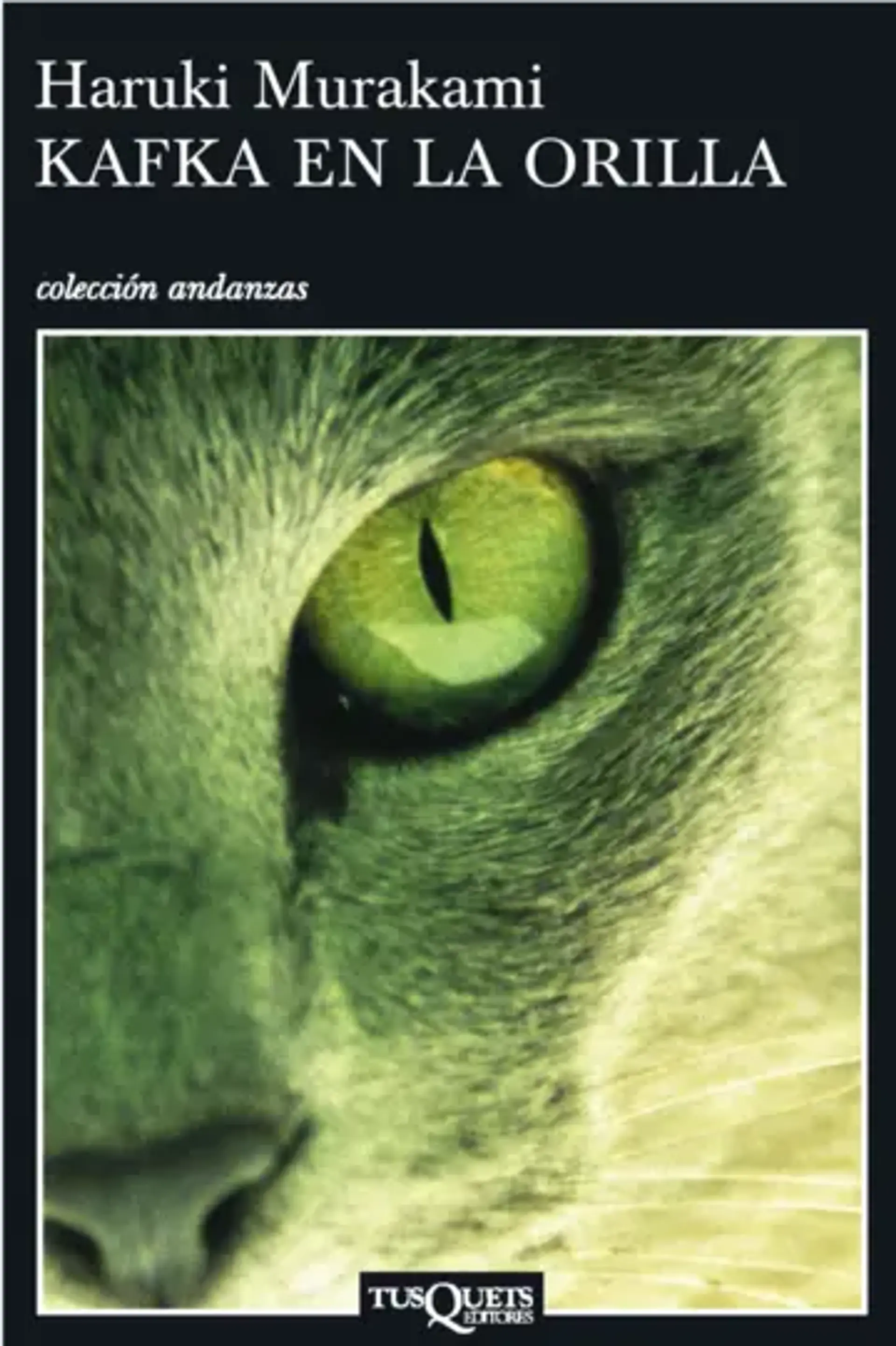 Kafka en la orilla 1