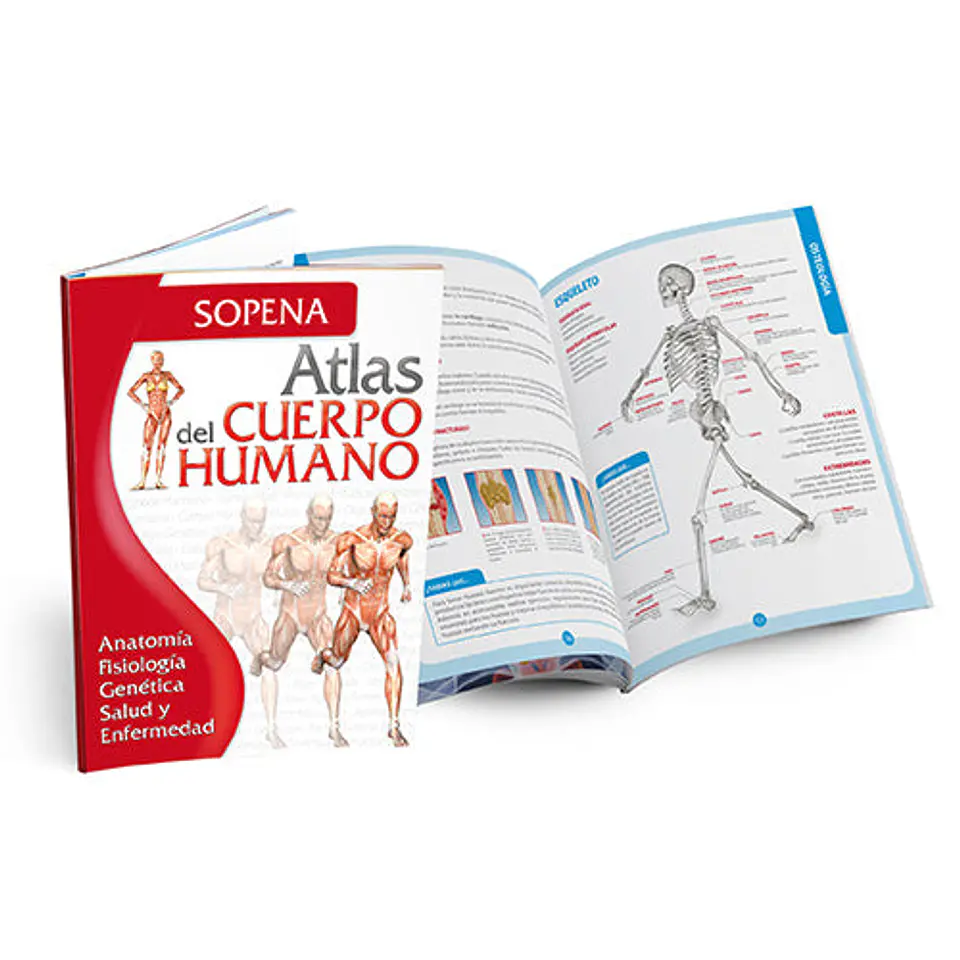 ATLAS DEL CUERPO HUMANO 2