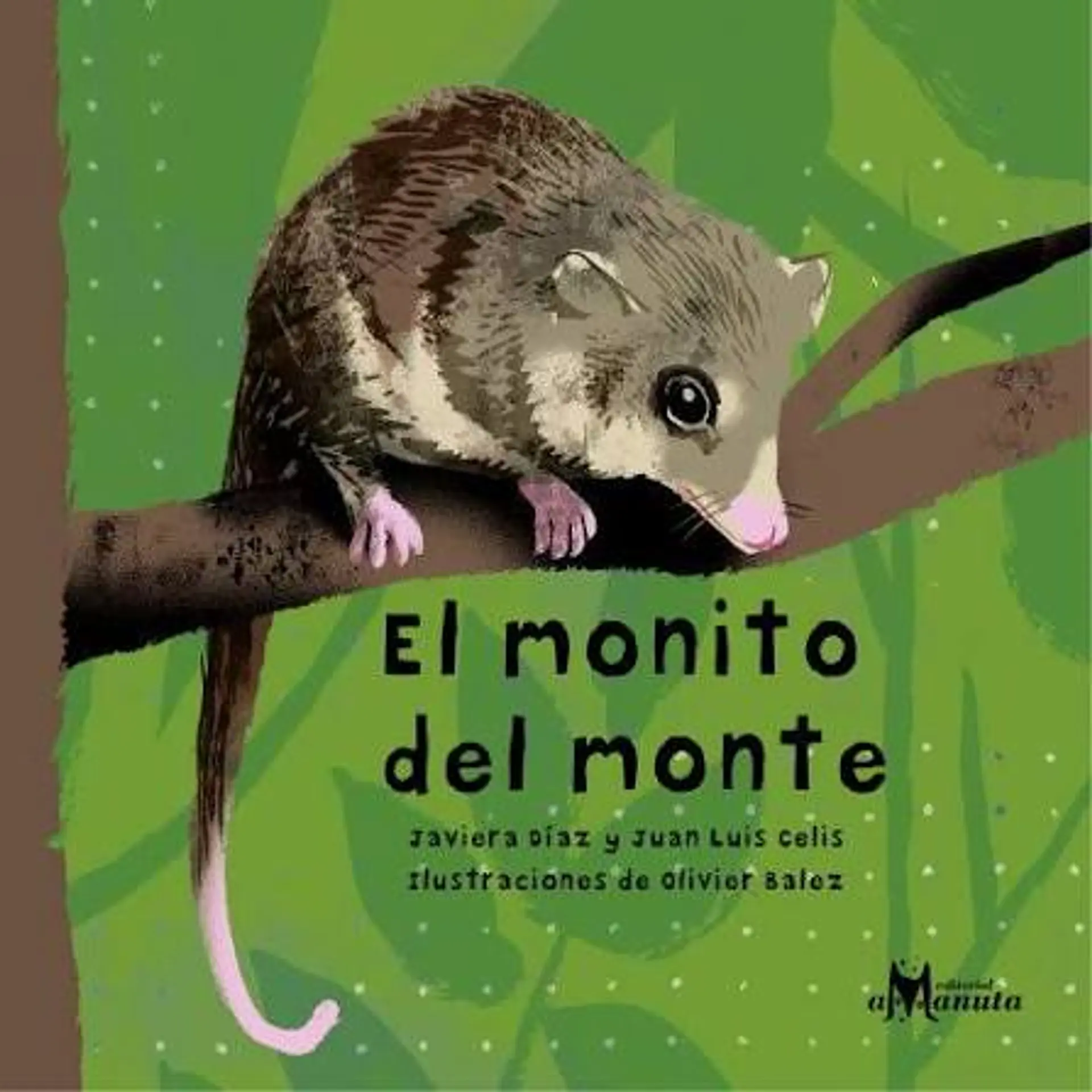 El monito del monte 1