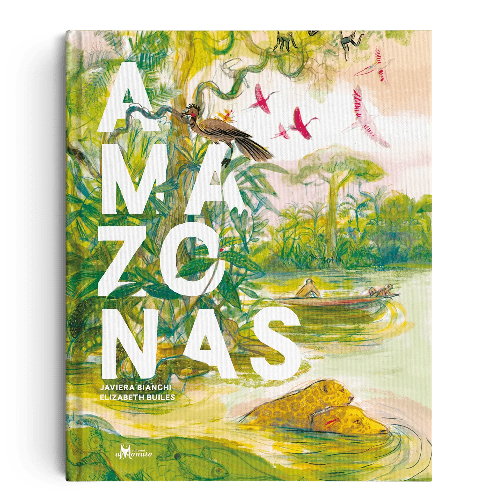 Amazonas 1