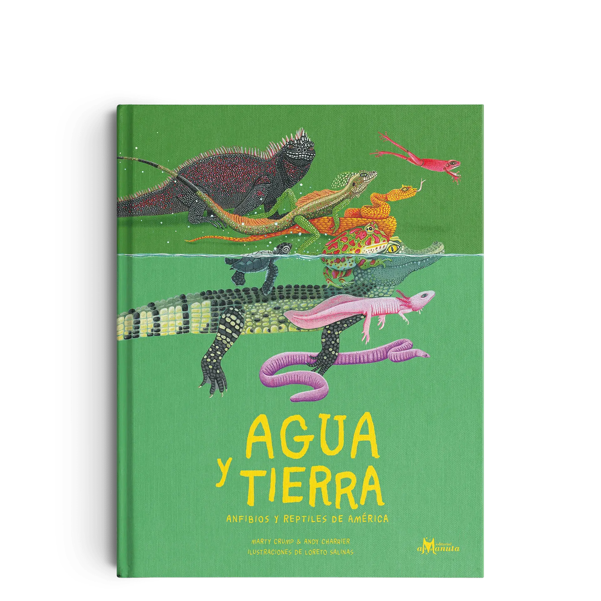 Agua y tierra, anfibios y reptiles de américa 1