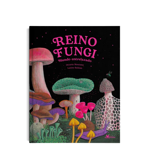 Reino Fungi