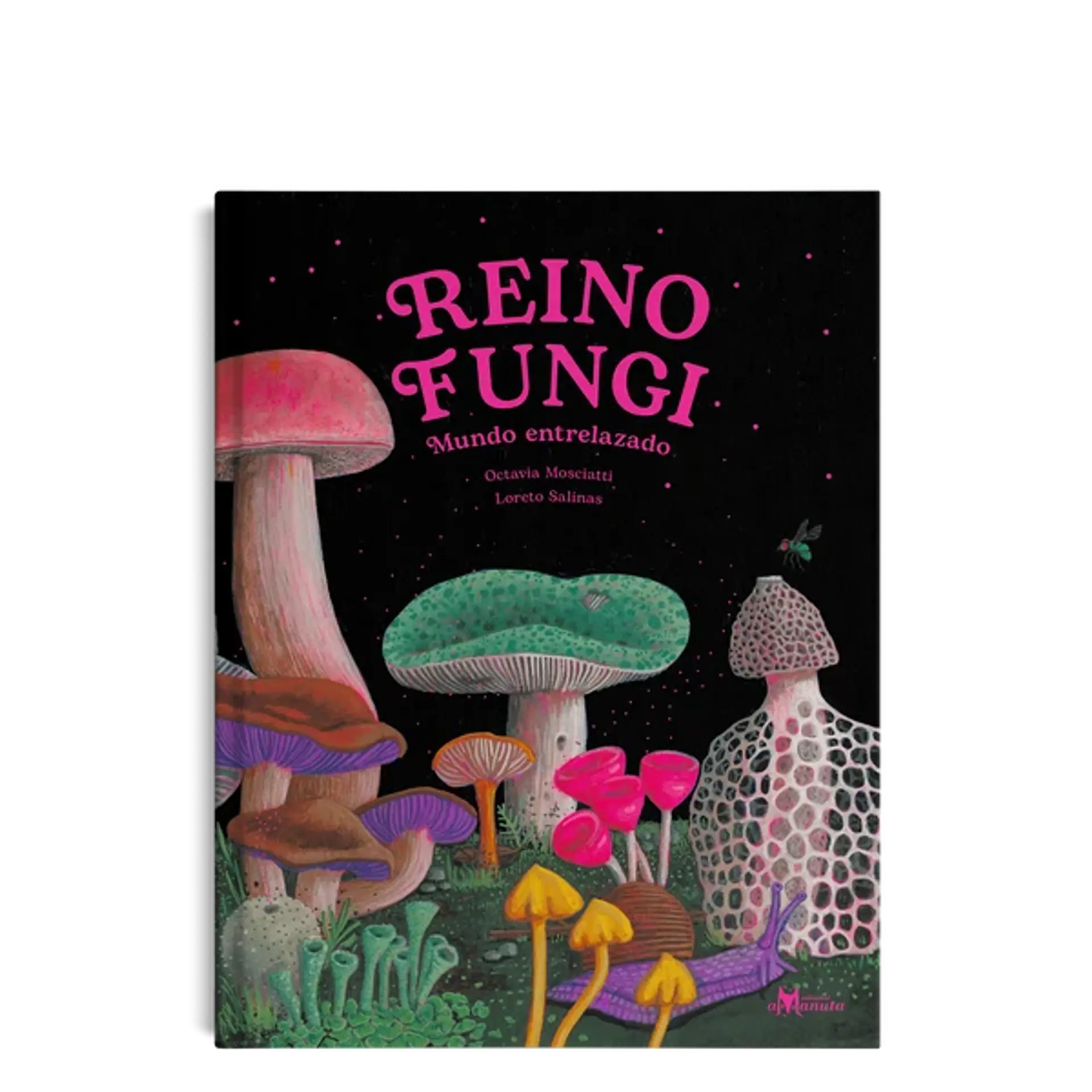 Reino Fungi 1