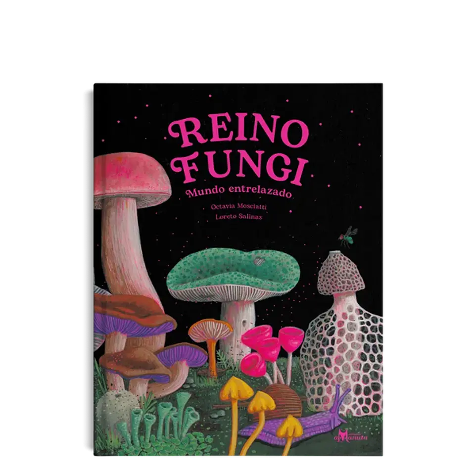 Reino Fungi 1