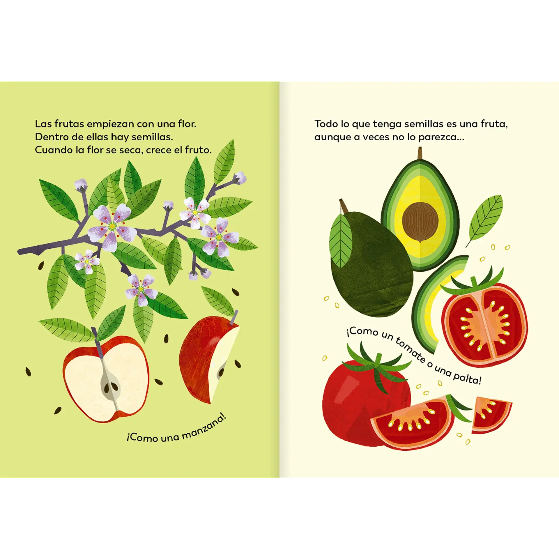 Fruta o verdura 2