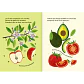 Fruta o verdura - Miniatura 2