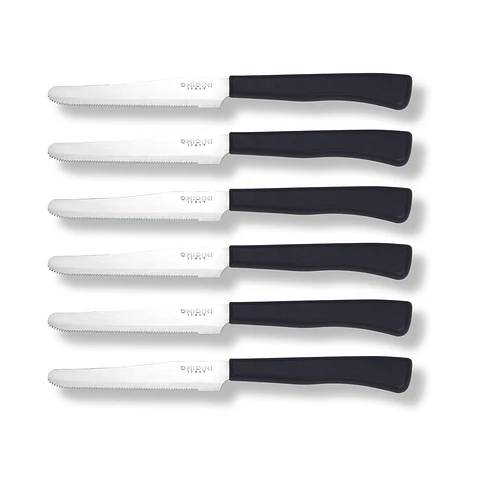 Set 6 Cuchillos  Mesa Daily