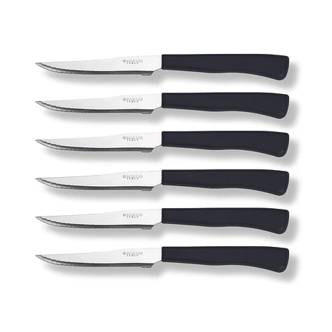 Set 6 Cuchillos Carne Daily
