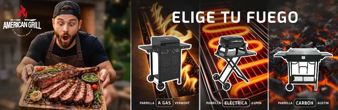 Gas, Eléctricas y a Carbón