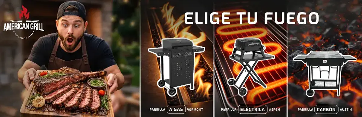 PARRILLAS GAS, ELÉCTRICAS Y  A CARBÓN