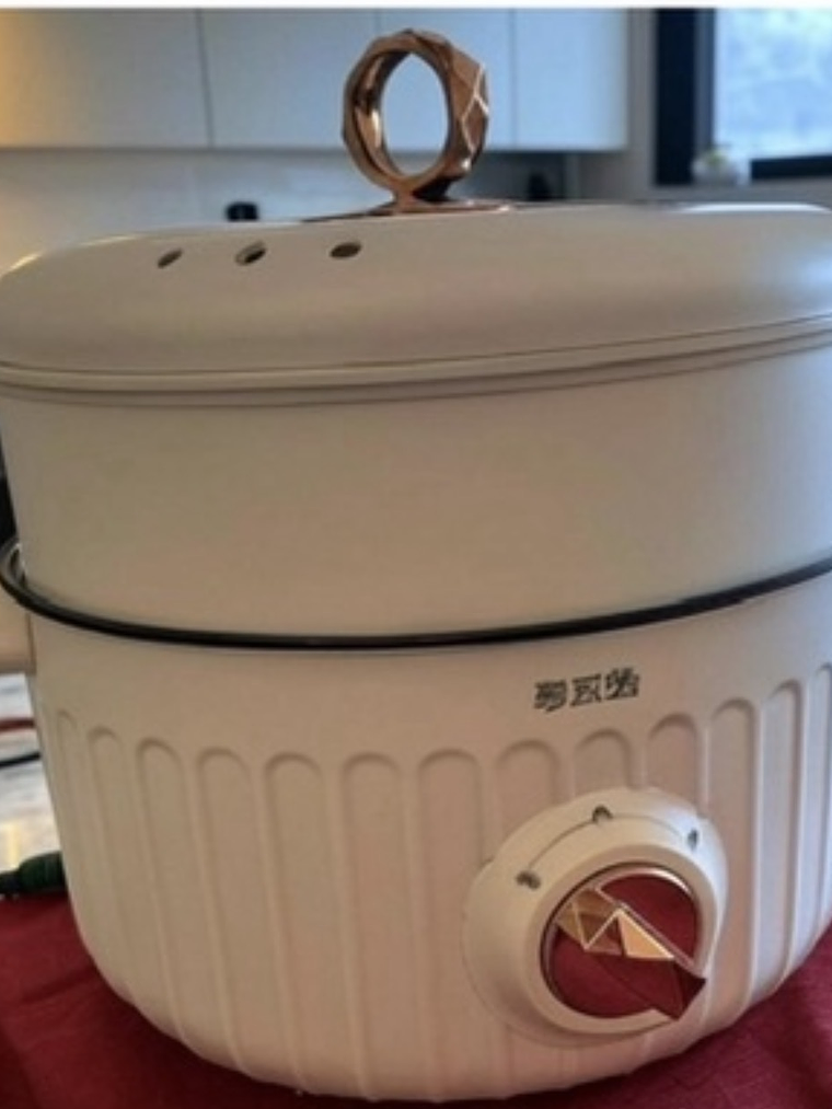 Olla Eléctrica Arrocera y Vaporera 1